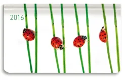 Ladytimer Pad Beetles Agenda Settimanale 2016