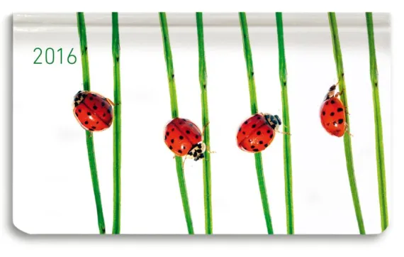 Ladytimer Pad Beetles Agenda Settimanale 2016
