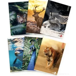 Maxi quaderno formato A4 fogli a quadretti 5 mm 80 grammi Animal (fantasie assortite)