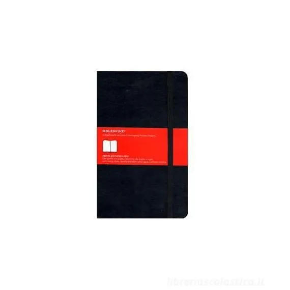 Moleskine large. Agenda giornaliera 2007 copertina rigida