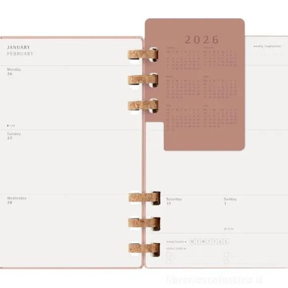 Moleskine 12 mesi - Agenda spiralata settimanale e mensile Weekly & Monthly Planner Almond - Large copertina morbida 2026