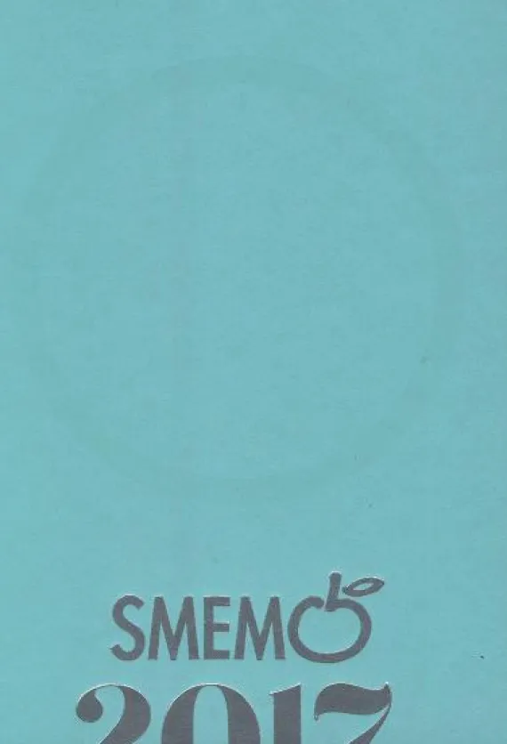 Smemo 2017. Diario Medium Azzurro - argento