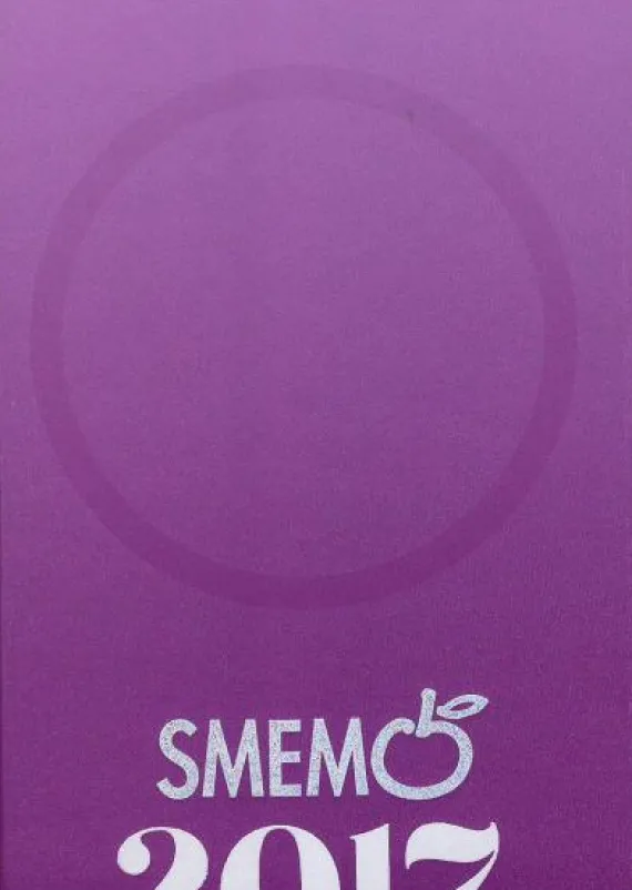 Smemo 2017. Diario Small Viola - argento