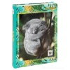 WWF Diario fotografico 2023/2024 12 mesi koala