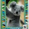 WWF Diario 2020/2021 12 mesi koala