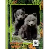WWF Diario 2021/2022 12 mesi orsetti